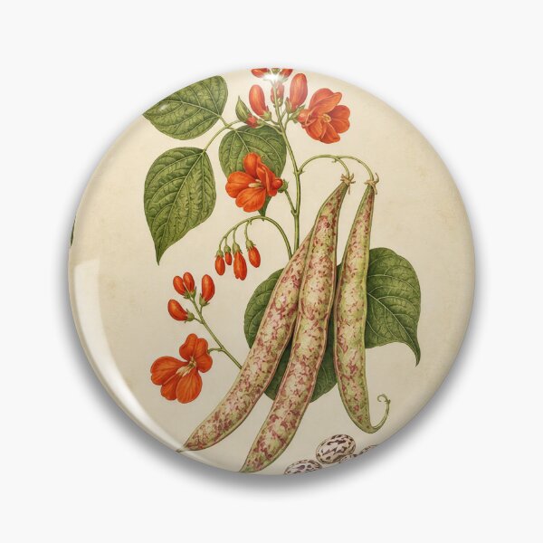 Item preview, Vintage Heirloom Bean Varieties Botanical Print designed and sold by NuvoraNest.