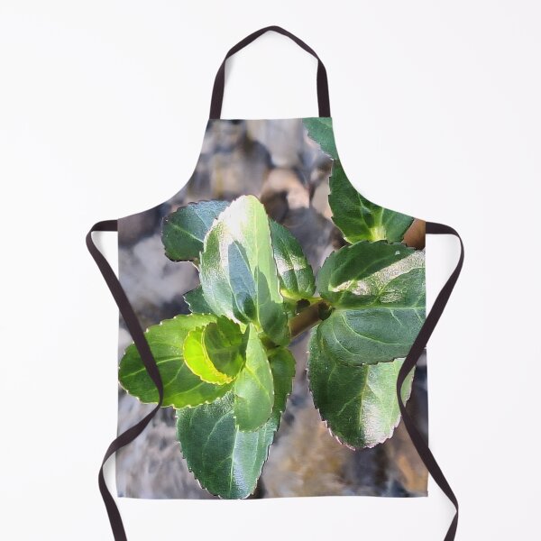 Item preview, Green Leaves Macro – Botanical Photography Print designed and sold by MSMPrintDesign.