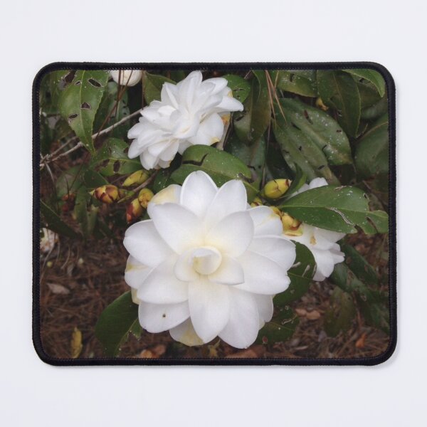 Item preview, White Camellia Hammond LA designed and sold by Donlan-2211.