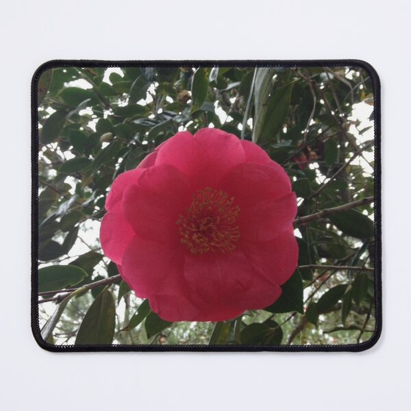 Item preview, Red Camellia Hammond LA designed and sold by Donlan-2211.