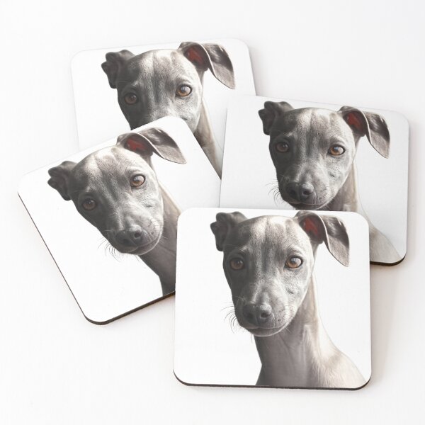 Item preview, Italian Greyhound Dog | Minimalist Pet Lover Gift | Original Dog Portrait designed and sold by Sticleg.