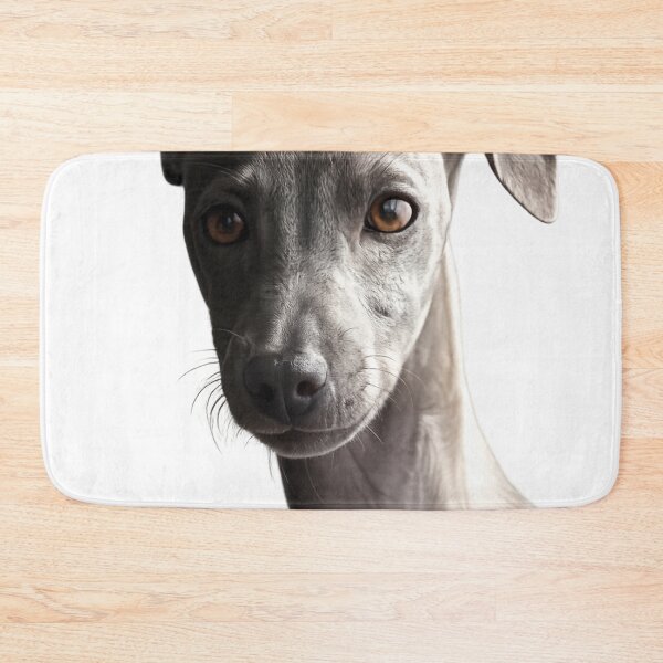 Item preview, Italian Greyhound Dog | Minimalist Pet Lover Gift | Original Dog Portrait designed and sold by Sticleg.