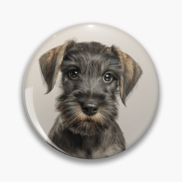 Item preview, Adorable Cesky Terrier pup for Cute Czech Terrier puppy lovers designed and sold by LazyOwlStore.