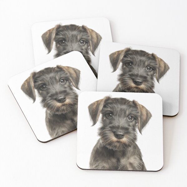 Item preview, Adorable Cesky Terrier pup for Cute Czech Terrier puppy lovers designed and sold by LazyOwlStore.