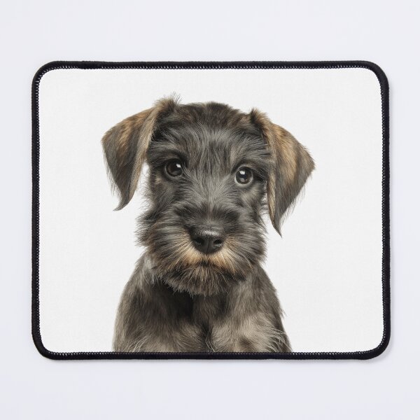 Item preview, Adorable Cesky Terrier pup for Cute Czech Terrier puppy lovers designed and sold by LazyOwlStore.