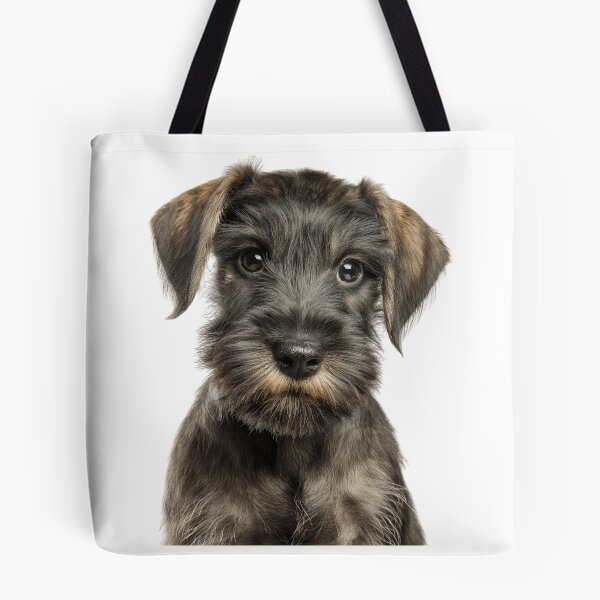 Item preview, Adorable Cesky Terrier pup for Cute Czech Terrier puppy lovers designed and sold by LazyOwlStore.