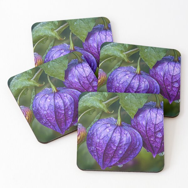 Item preview, Vibrant Purple Lantern Flowers with Dew Drops designed and sold by Artessie.