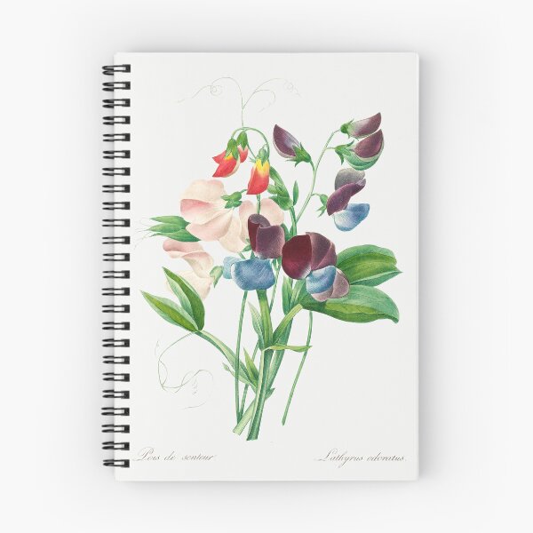 Item preview, Sweet Pea Flowers Vintage Botanical Illustration designed and sold by TheRetroArtRoom.