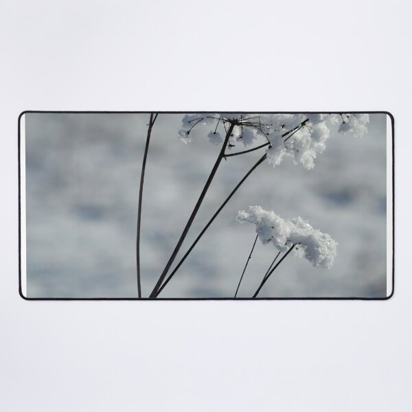 Item preview, Winter beauty designed and sold by Jouko Lehto Photography.