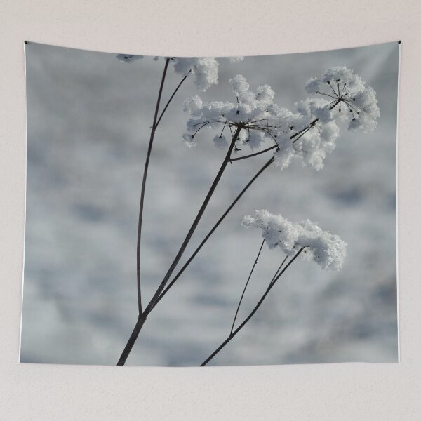 Item preview, Winter beauty designed and sold by Jouko Lehto Photography.