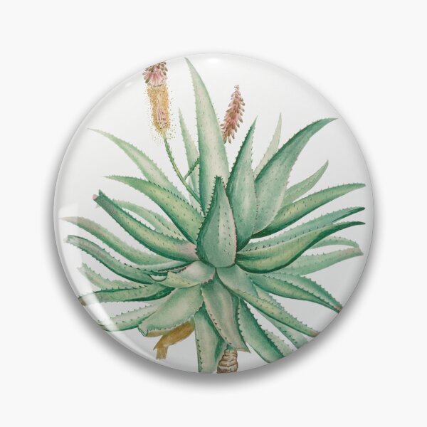 Item preview, Cape Aloe Cactus Vintage Botanical Illustration designed and sold by TheRetroArtRoom.