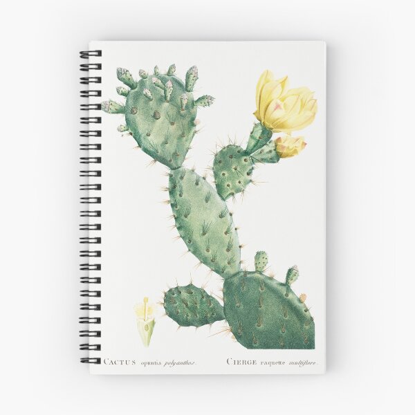 Item preview, Plains Pricklypear Cactus Vintage Botanical Illustration designed and sold by TheRetroArtRoom.