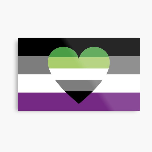 Asexual Aromantic Flag Metal Print