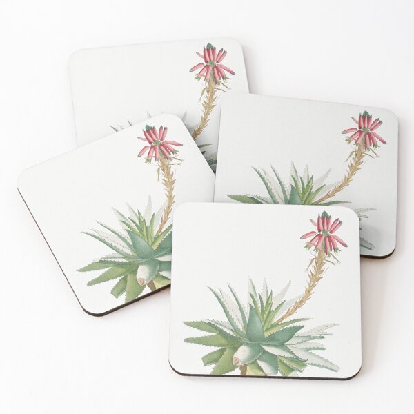 Item preview, Aloe Glauca Cactus Vintage Botanical Illustration designed and sold by TheRetroArtRoom.