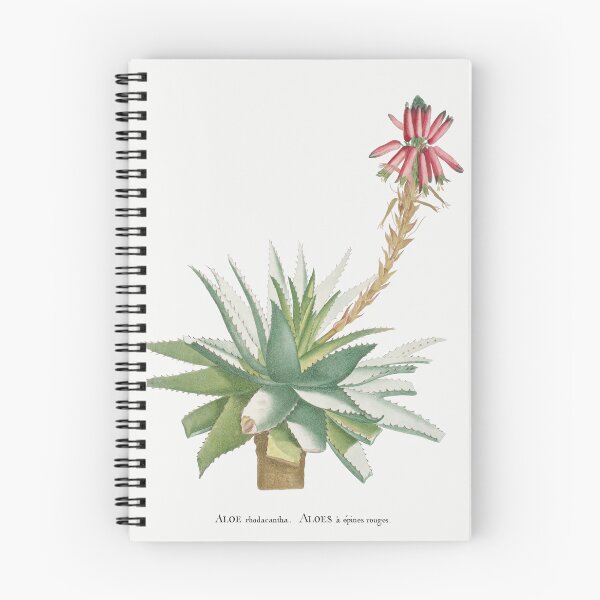 Item preview, Aloe Glauca Cactus Vintage Botanical Illustration designed and sold by TheRetroArtRoom.