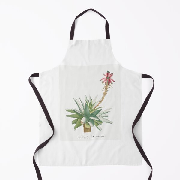 Item preview, Aloe Glauca Cactus Vintage Botanical Illustration designed and sold by TheRetroArtRoom.