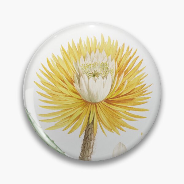 Item preview, Large flowered Cactus Vintage Botanical Illustration designed and sold by TheRetroArtRoom.