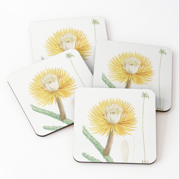 Item preview, Large flowered Cactus Vintage Botanical Illustration designed and sold by TheRetroArtRoom.