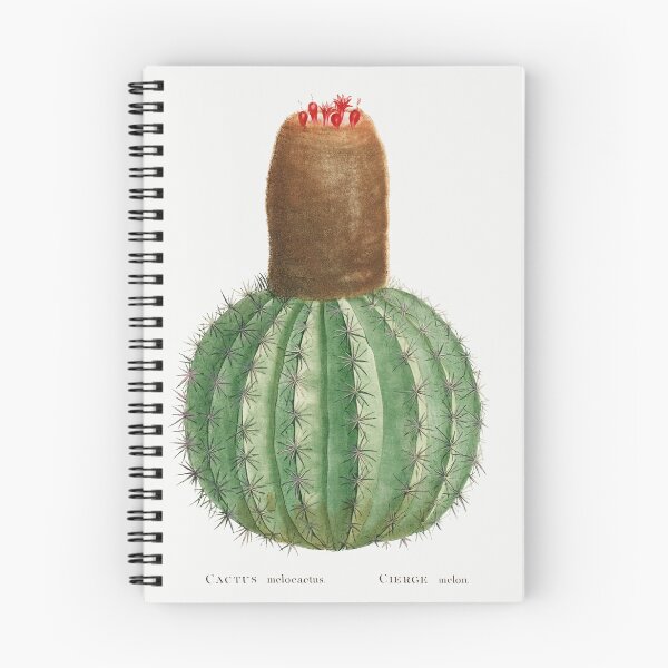 Item preview, Melocactus Cactus Vintage Botanical Illustration designed and sold by TheRetroArtRoom.