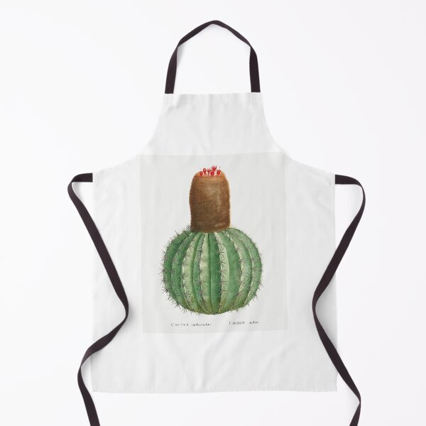 Item preview, Melocactus Cactus Vintage Botanical Illustration designed and sold by TheRetroArtRoom.