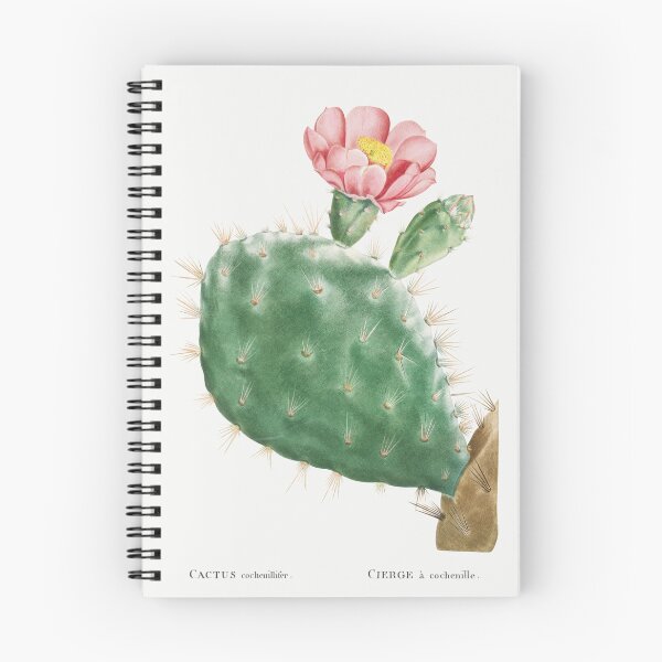 Item preview, Opuntia Cochenillifera Cactus Vintage Botanical Illustration designed and sold by TheRetroArtRoom.
