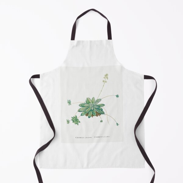 Item preview, Crassula Orbicularis Cactus Vintage Botanical Illustration designed and sold by TheRetroArtRoom.