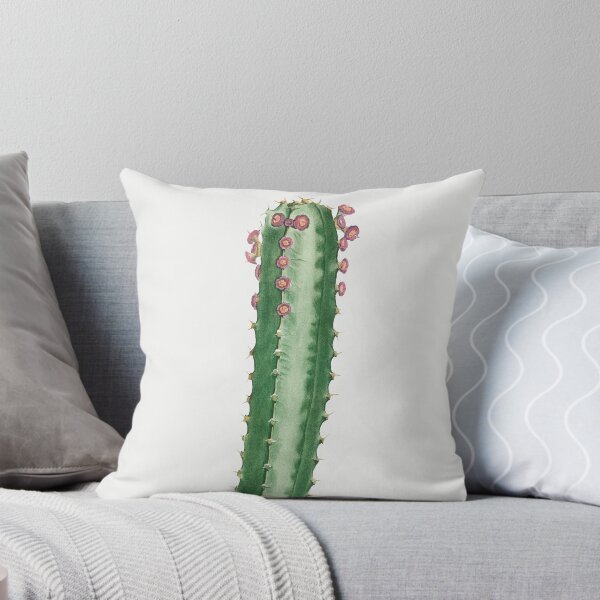 Item preview, Canary Island Spurge Cactus Vintage Botanical Illustration designed and sold by TheRetroArtRoom.