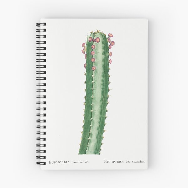 Item preview, Canary Island Spurge Cactus Vintage Botanical Illustration designed and sold by TheRetroArtRoom.