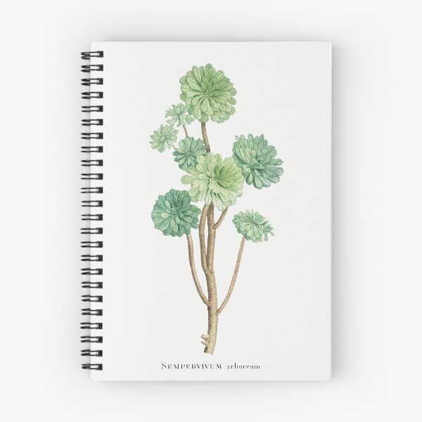 Item preview, Tree Houseleek Cactus Vintage Botanical Illustration designed and sold by TheRetroArtRoom.