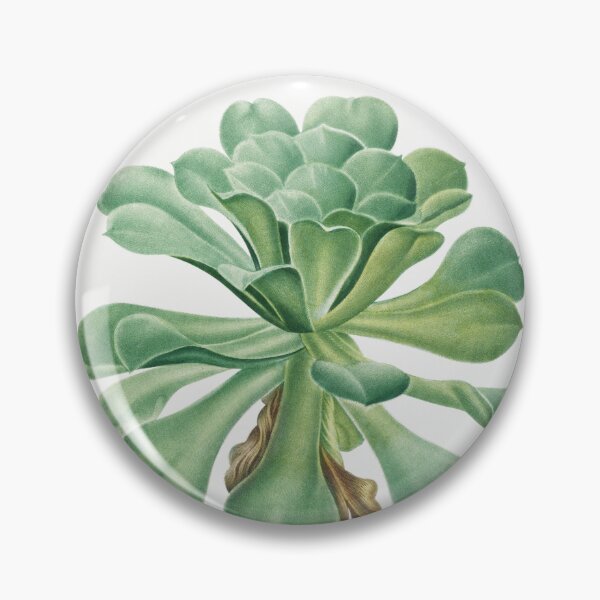 Item preview, Tree Houseleek Cactus Vintage Botanical Illustration designed and sold by TheRetroArtRoom.