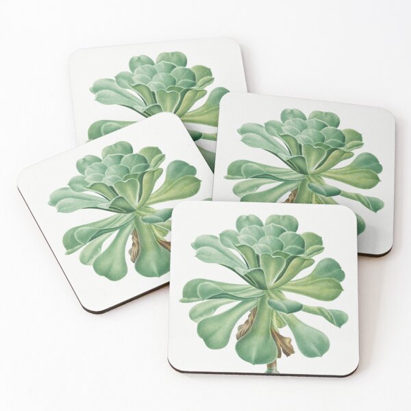 Item preview, Tree Houseleek Cactus Vintage Botanical Illustration designed and sold by TheRetroArtRoom.