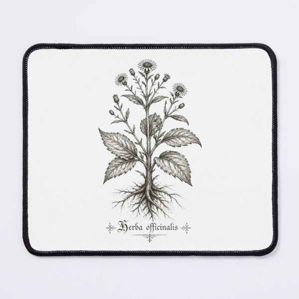 Item preview, Vintage Botanical Charcoal Sketch – Wild Plant Illustration | Antique Monastic Herbarium Drawing | Nature Study Art designed and sold by Cavalier-org.