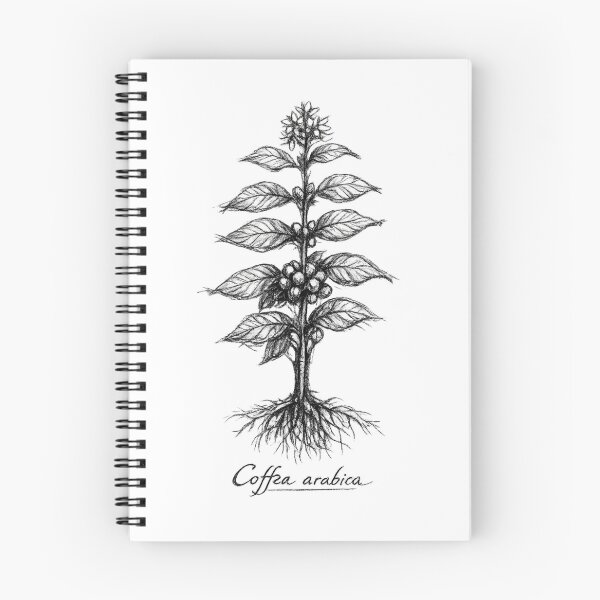 Item preview, Vintage Botanical Charcoal Sketch – Coffee Plant Illustration | Antique Monastic Herbarium Drawing | Nature Study Art designed and sold by Cavalier-org.
