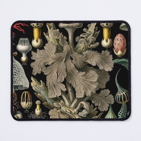 Item preview, Curious Fungi designed and sold by andreisky.
