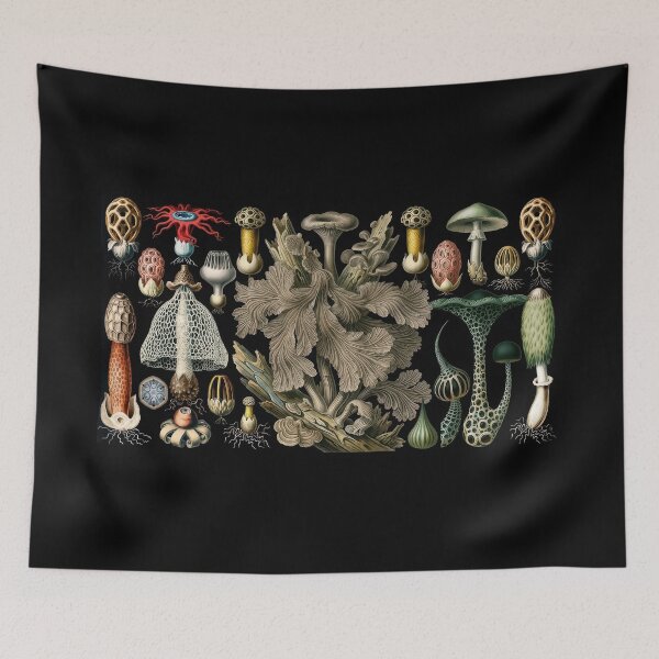 Item preview, Curious Fungi designed and sold by andreisky.