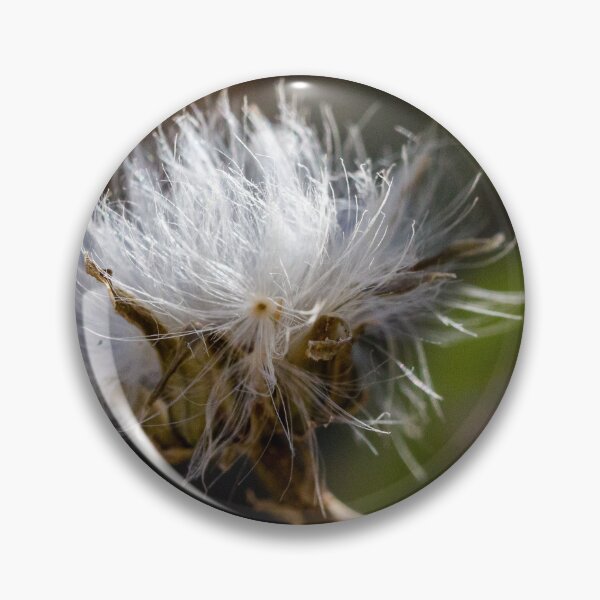 Artikelvorschau, Zartes Wildblumensamenkopf-Makrofoto mit weißem Flaum und weichem, natürlichem Bokeh-Hintergrund entworfen und verkauft von Nmallia.
