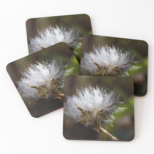 Item preview, Delicate Wildflower Seed Head Macro Photo With White Fluff and Soft Natural Bokeh Background designed and sold by Nmallia.