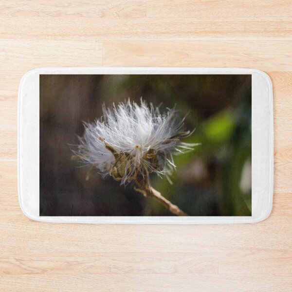 Item preview, Delicate Wildflower Seed Head Macro Photo With White Fluff and Soft Natural Bokeh Background designed and sold by Nmallia.