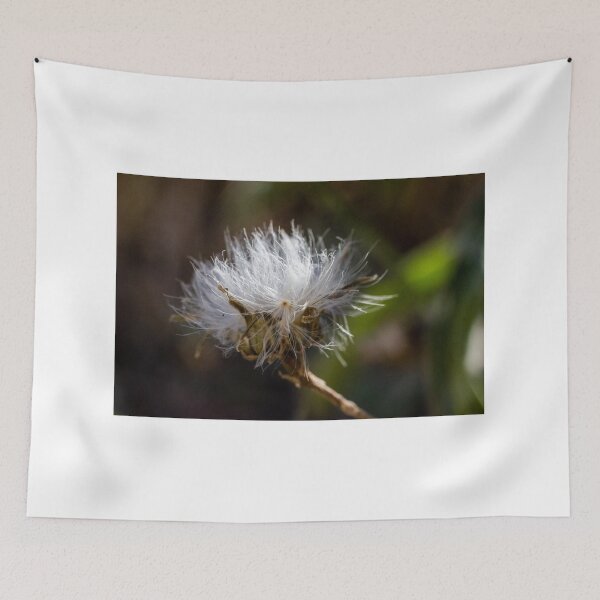 Item preview, Delicate Wildflower Seed Head Macro Photo With White Fluff and Soft Natural Bokeh Background designed and sold by Nmallia.
