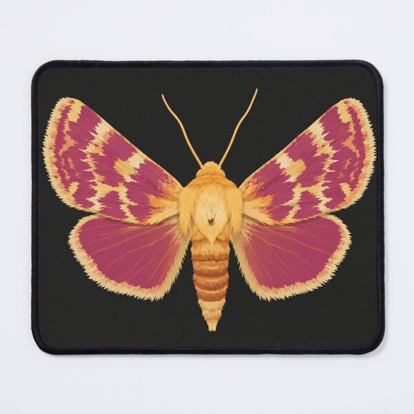 Item preview, Pink and Gold Moth Botanical Illustration designed and sold by minbadesign.