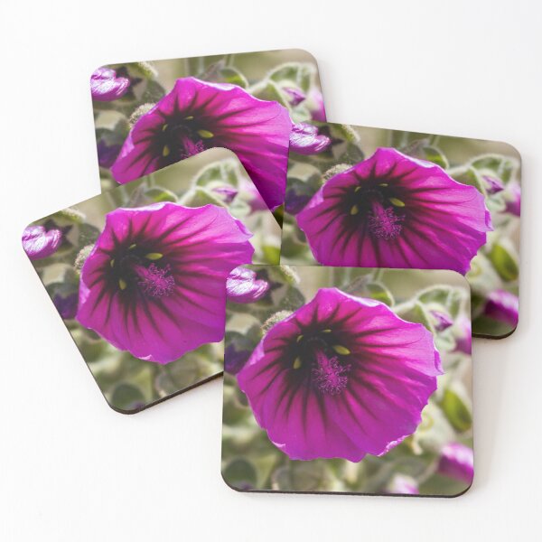 Item preview, Vibrant Purple Flower Close-Up Macro Bloom With Detailed Petals And Pollen In Soft Bokeh designed and sold by Nmallia.