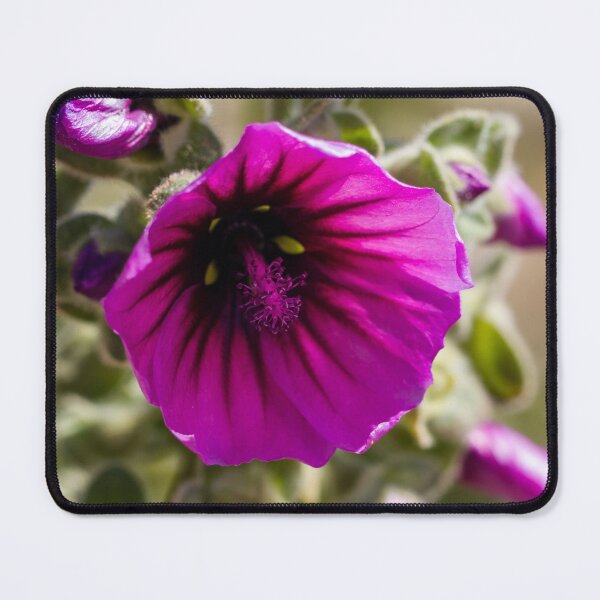 Item preview, Vibrant Purple Flower Close-Up Macro Bloom With Detailed Petals And Pollen In Soft Bokeh designed and sold by Nmallia.