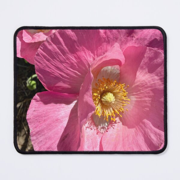 Item preview, Dancing Pink Poppies designed and sold by Betsy Phillips.