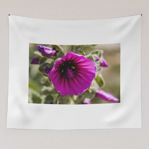Item preview, Vibrant Purple Flower Close-Up Macro Bloom With Detailed Petals And Pollen In Soft Bokeh designed and sold by Nmallia.