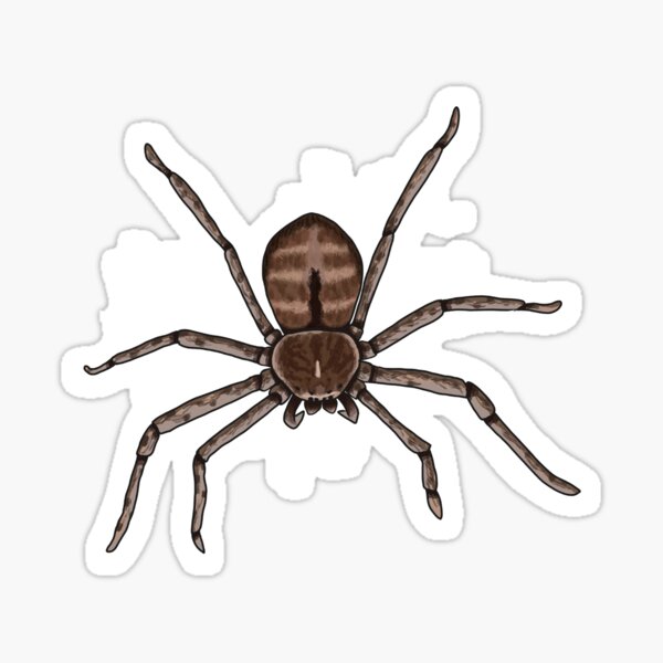 Item preview, Giant Banded Huntsman Spider designed and sold by TheMossAndMermaid.