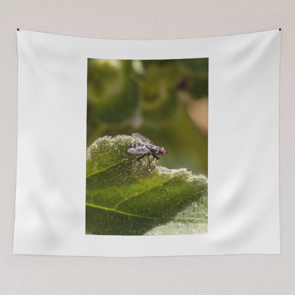 Item preview, Macro Close-Up of a Fly on a Fuzzy Green Leaf With Red Eyes and Iridescent Wings designed and sold by Nmallia.