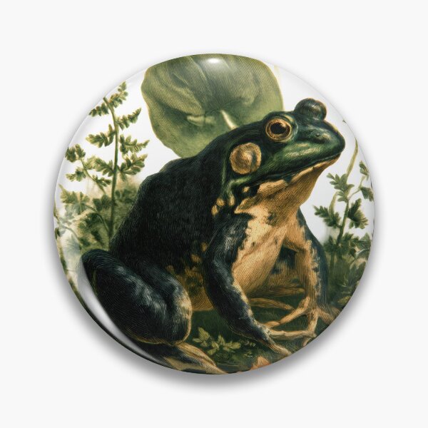Item preview, T-Shirt - Sticker - Naturalist Frog Study – Vintage Zoological Art designed and sold by ForeverPrintsOK.