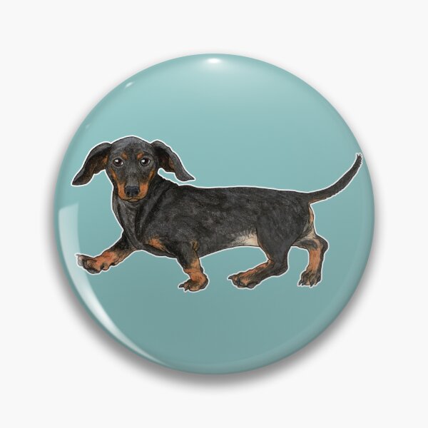 Item preview, Black and tan dachshund designed and sold by savousepate.