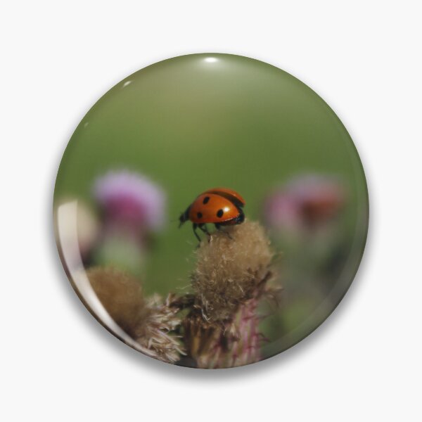 Item preview, Ladybug Resting on a Thistle | Nature Macro Photography designed and sold by Cha-s-lens.