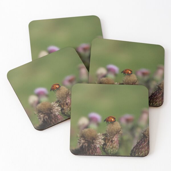 Item preview, Ladybug Resting on a Thistle | Nature Macro Photography designed and sold by Cha-s-lens.